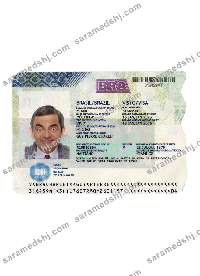 Brazil travel visa 2025-present